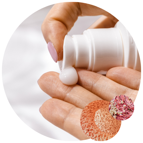 Microbiome cutané Application crème