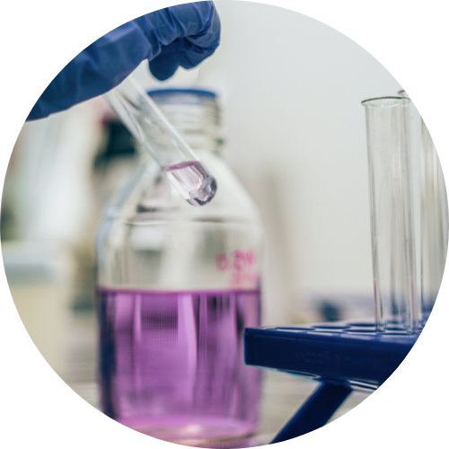 Test génomique en cours de réalisation en laboratoire, appliqué au contrôle de la fermentation industrielle