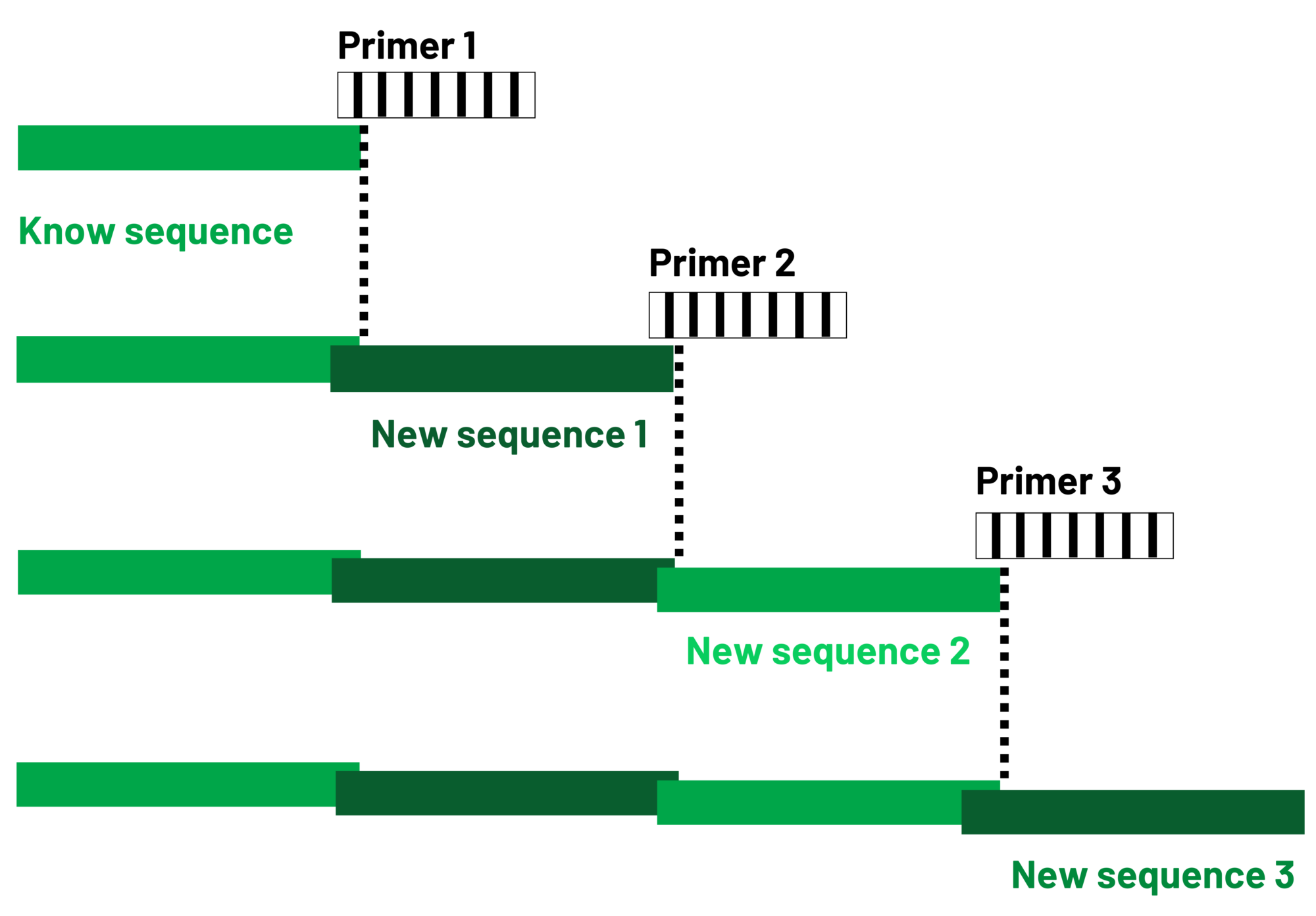 Primer walking GenoScreen