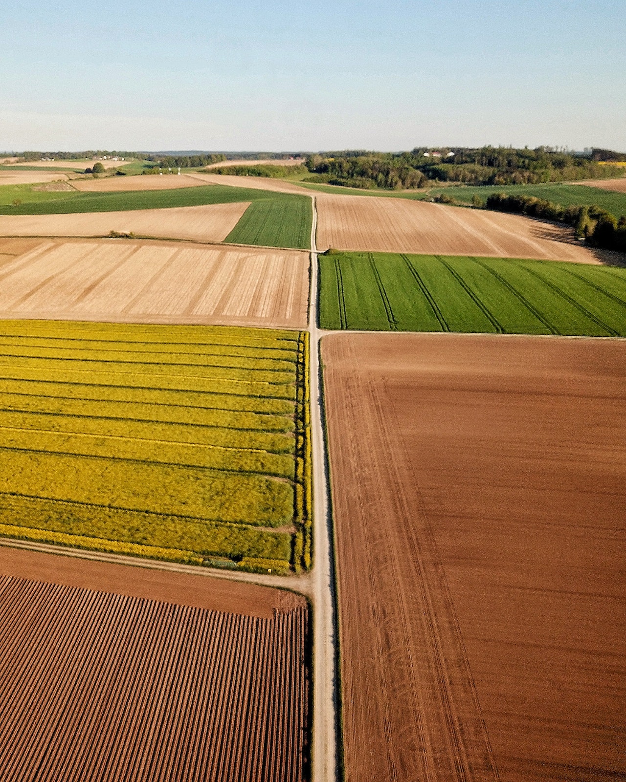European Commission Proposal for a Directive on Soil Monitoring and Resilience