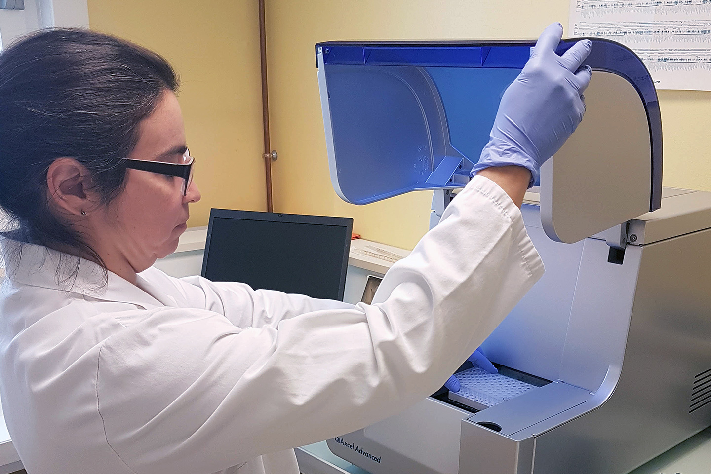 Genoscreen “Ready-to-Load” Sequencing