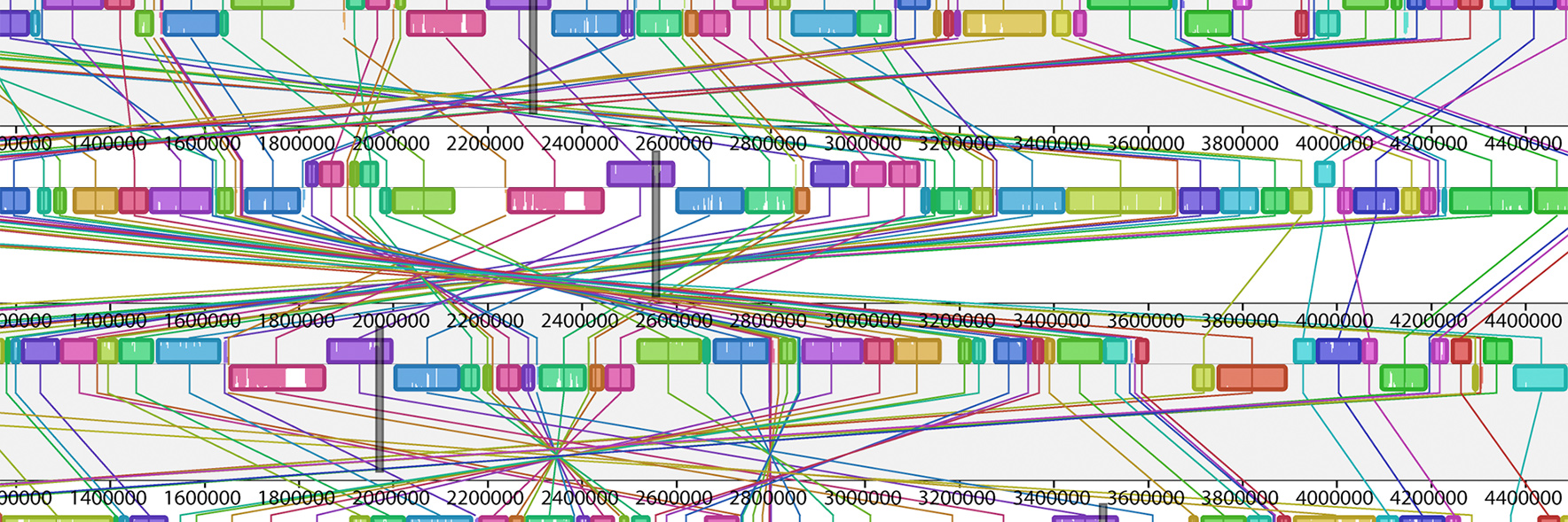 Genome comparison and mutation detection