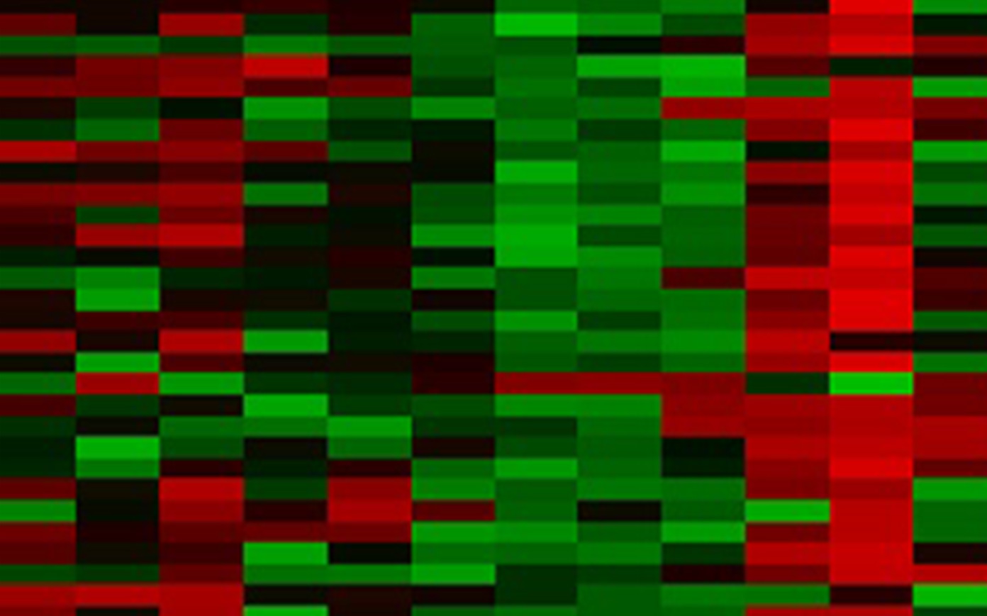 Transcriptomique - Analyser l’expression des gènes