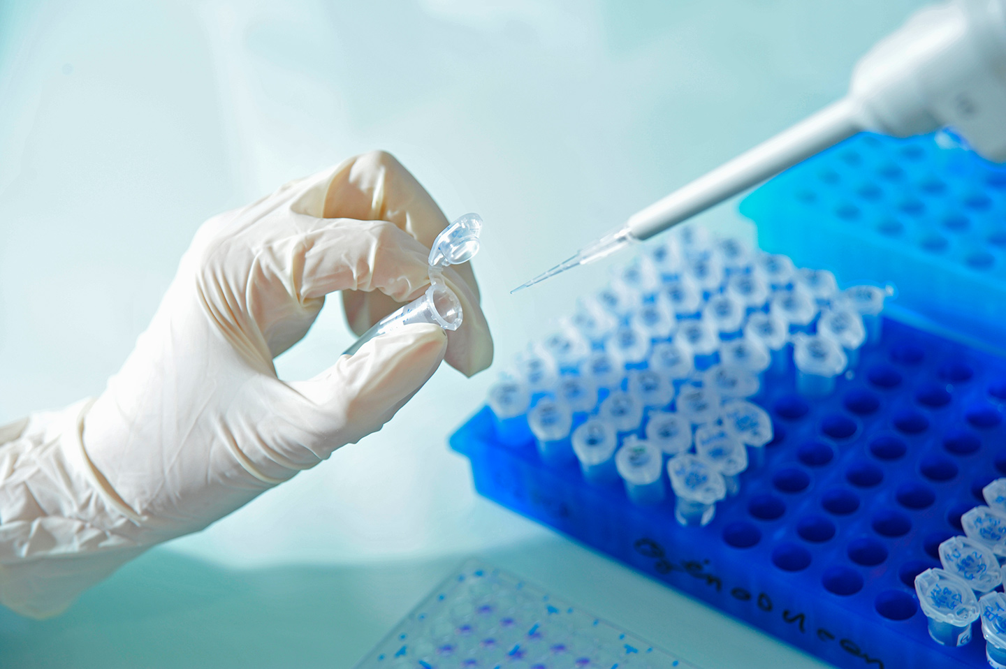 Pipette