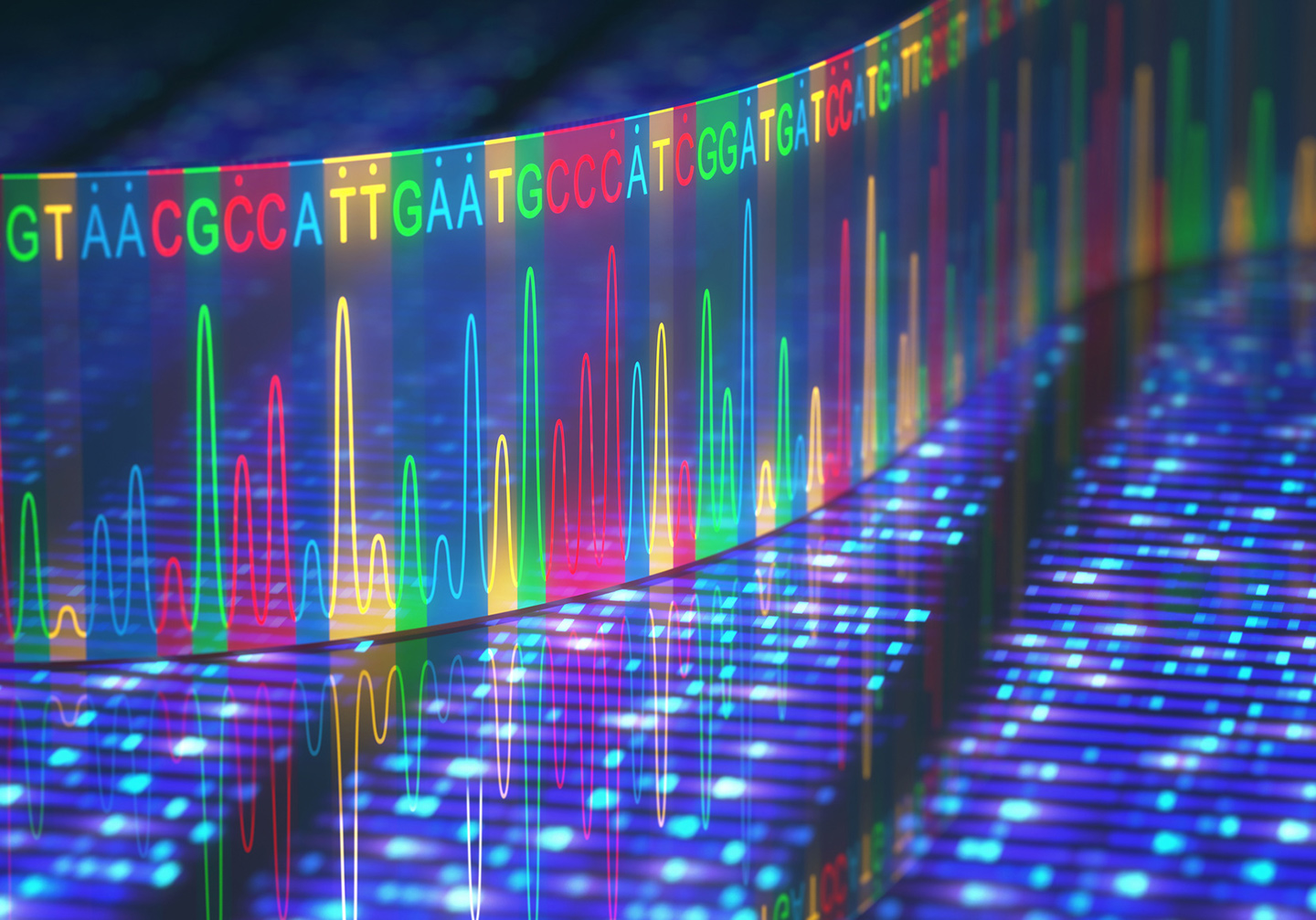 Molecular barcoding