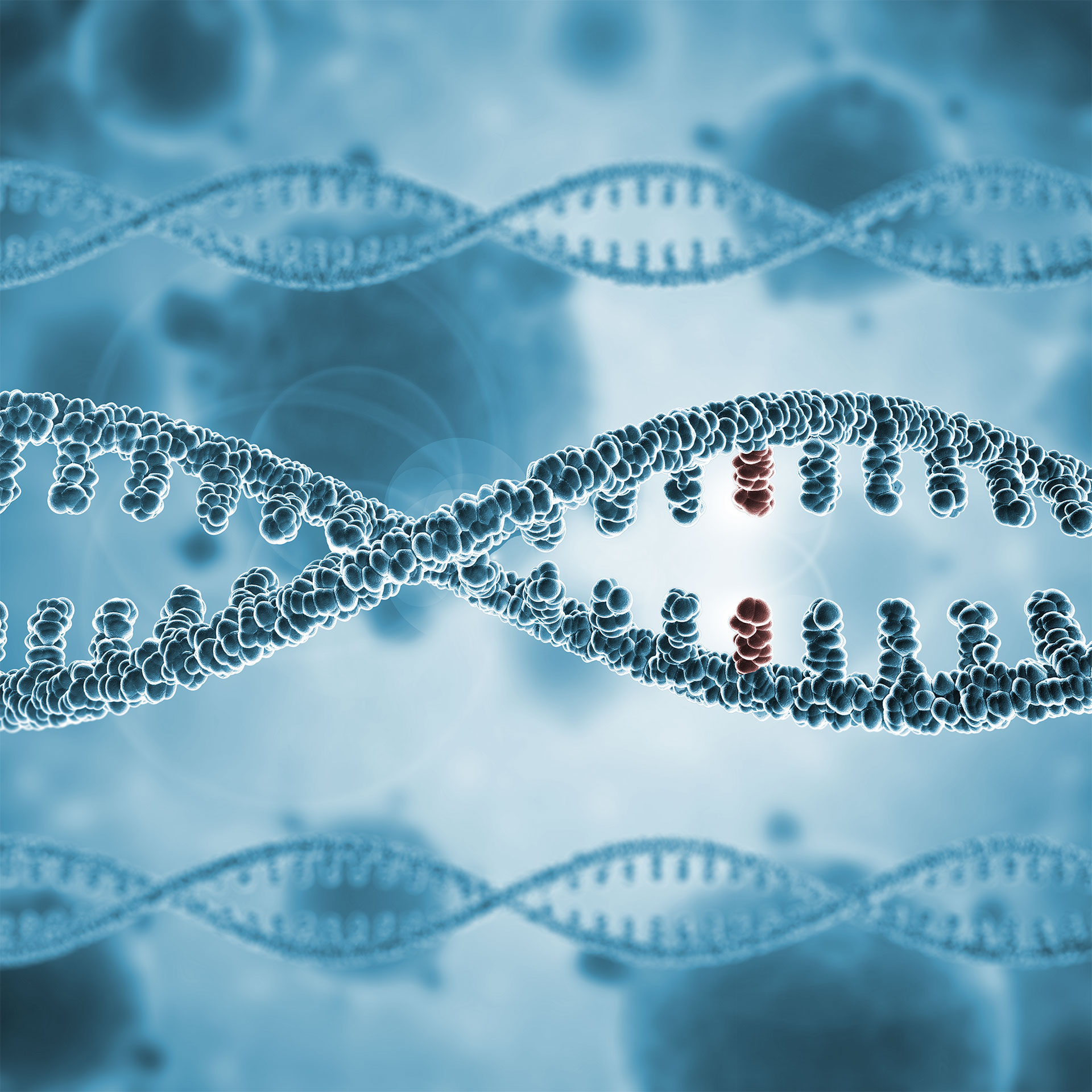 SNP genotyping