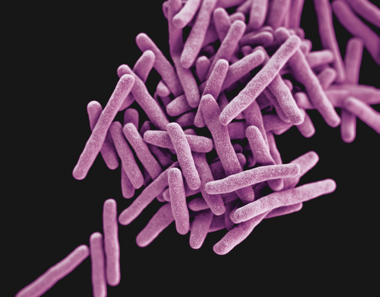 GenoScreen propose diverses solutions pour l'identification des micro-organismes par le séquençage de l'ADN et la comparaison avec des bases de données internationales.