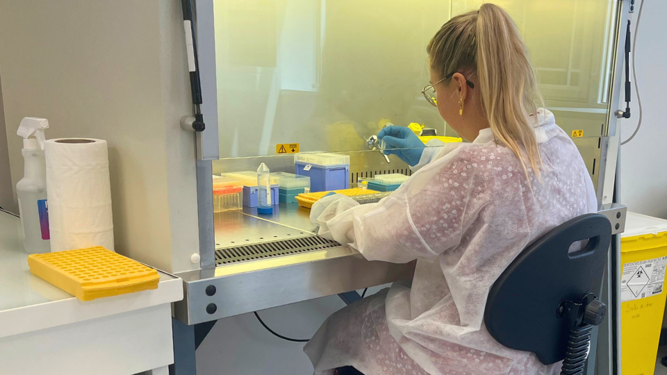 The identification and genotyping are essential in the discovery of genetics variations, specially in the studies of the populations and pathologies.