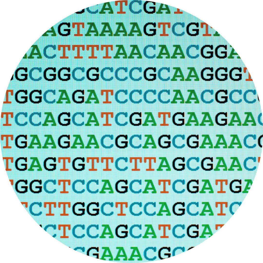 Genetic sequence