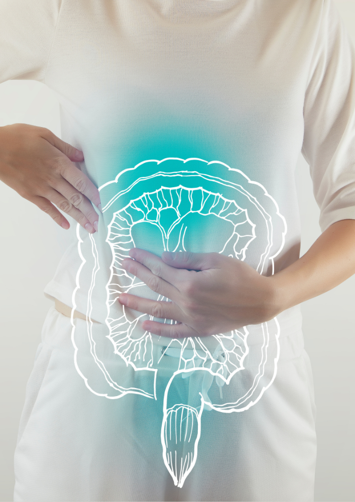 Prébiotiques & LBP : mesurer leur effetfonctionnel dans le microbiome intestinal