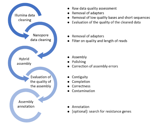Bioinformatics Reports: Readability and Clarity