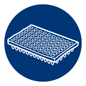 Amplification PCR sur la cible génomique adaptée