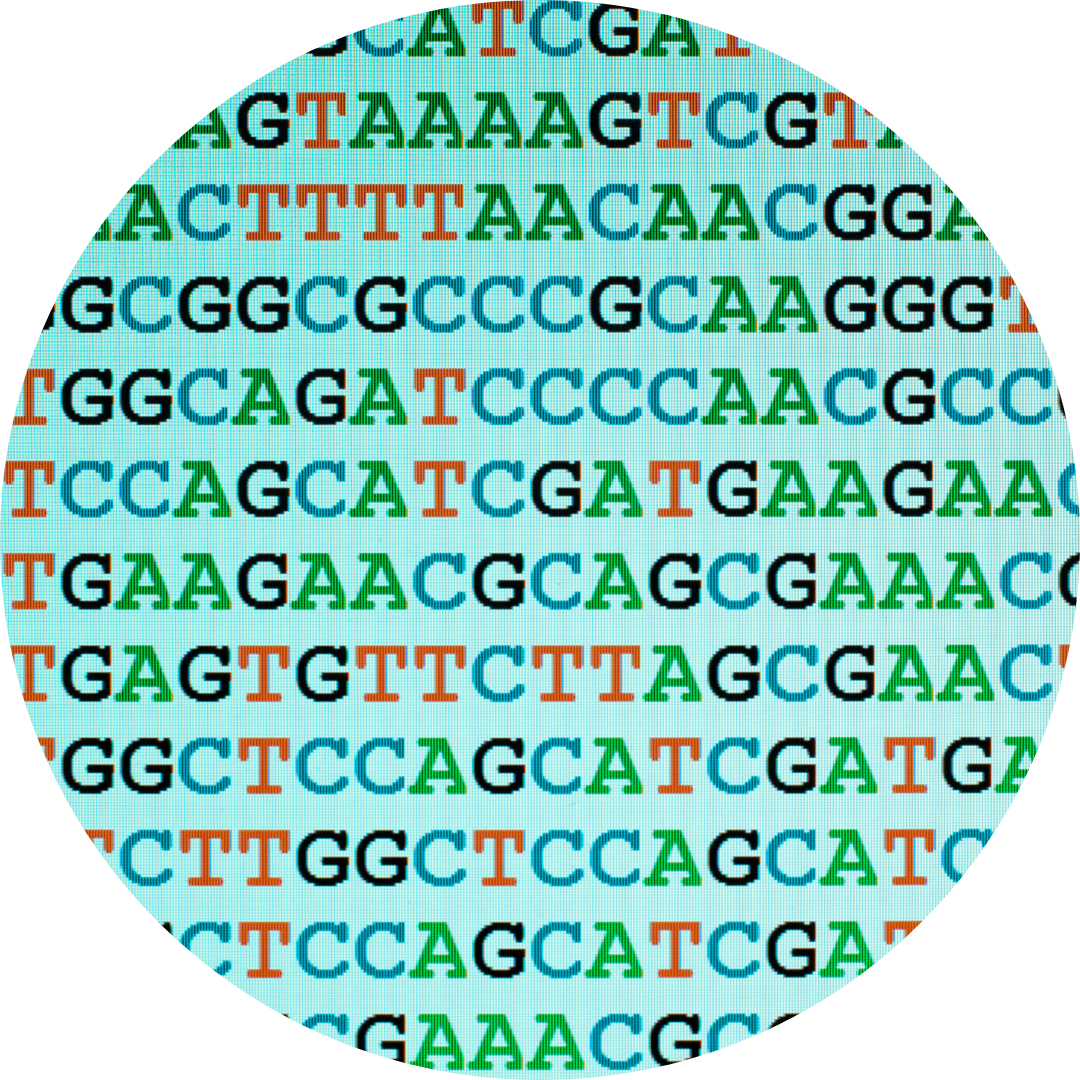 MultiLocus Sequencing Typing (MLST)
