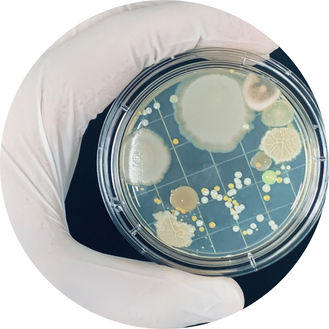 Explore microbial biodiversity with long-read sequencing