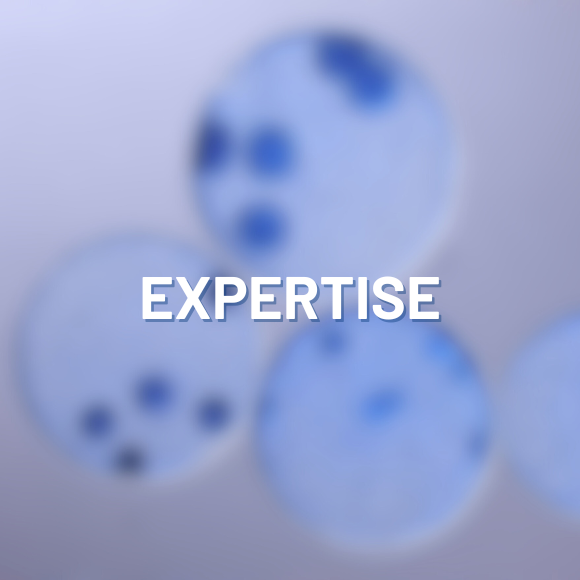Expertise