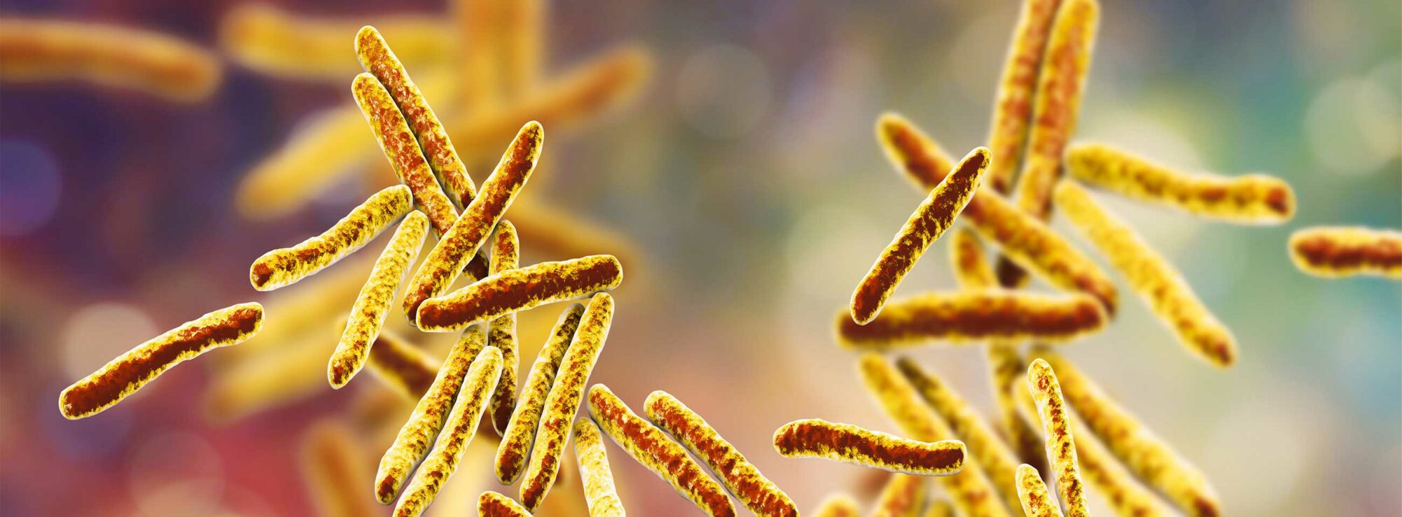 Genoscreen provides various solutions in identifying microorganisms via DNA sequencing and comparison with international databases.