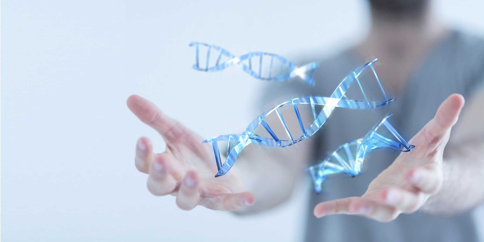 L'identification et le génotypage sont essentiels dans la découverte des variations génétiques, notamment dans l'étude des populations et des pathologies.